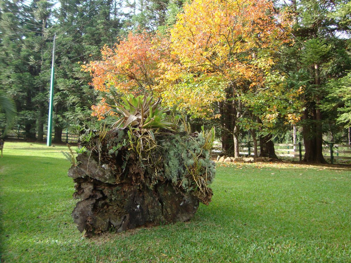 Refugio Monte Olimpo 호텔 캄푸 알레그리 외부 사진